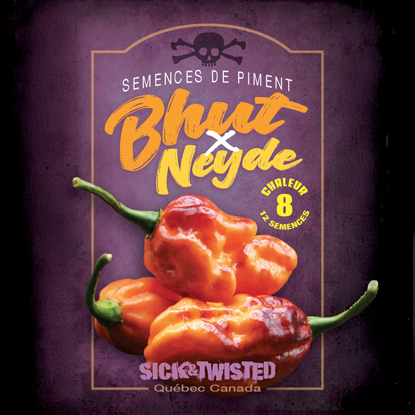 Piment fort 'Bhut x Neyde'