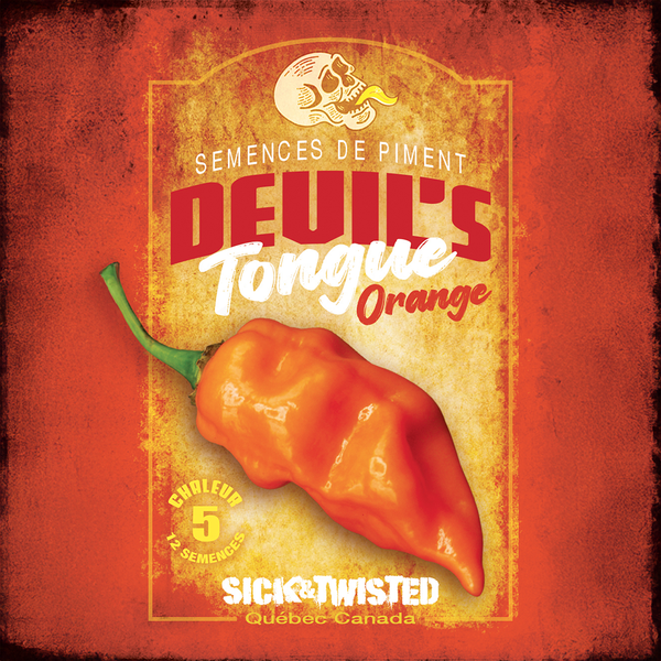 Piment fort 'Devil's Tongue Orange'