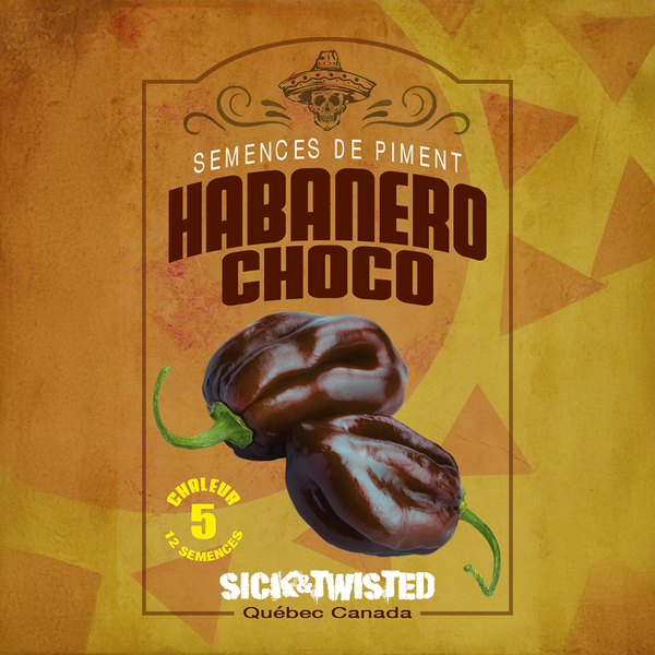 Piment fort 'Habanero Chocolat'