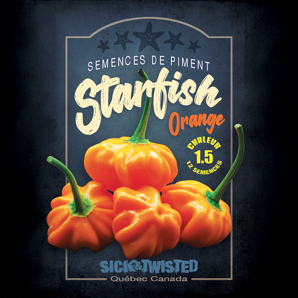 Piment fort 'Starfish Orange'