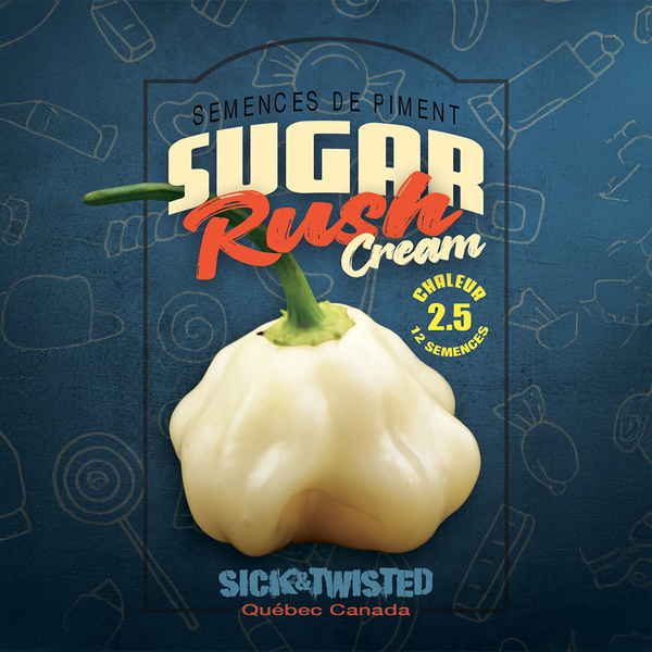 Hot pepper 'Sugar Rush Cream'