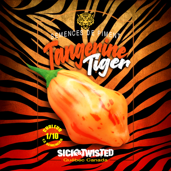 Piment fort 'Tangerine Tiger'