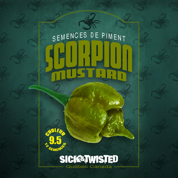 Piment fort 'Scorpion Moutarde'