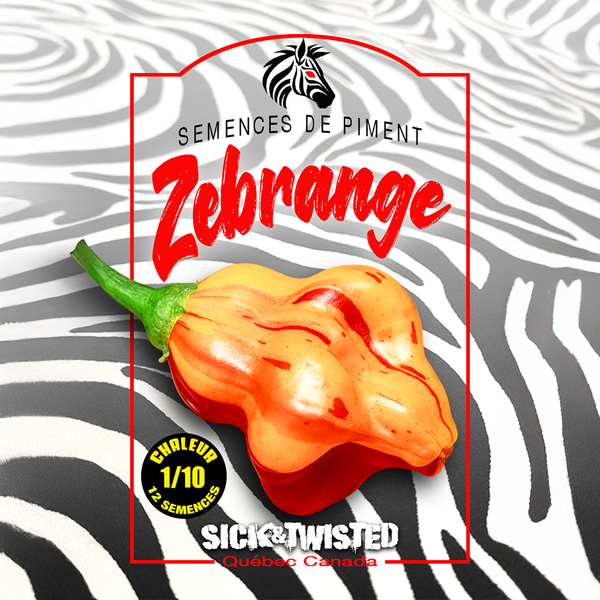 Hot pepper 'Zebrange'