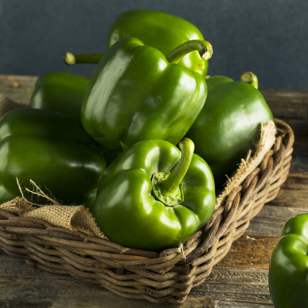 Green sweet pepper