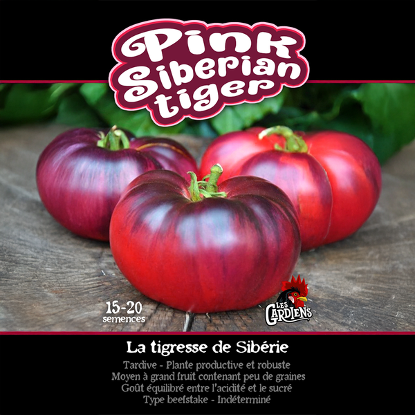 Tomato 'Pink Siberian Tiger'