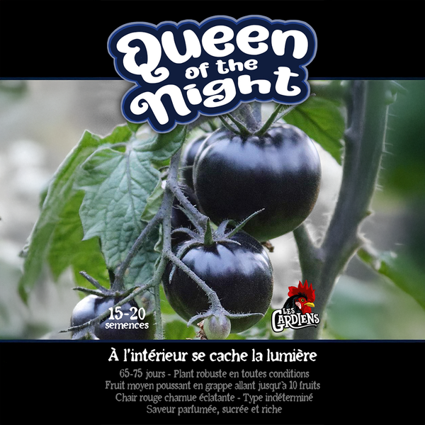 Tomate 'Queen of the Night'