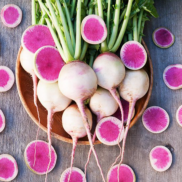 Organic 'Watermelon' Radish