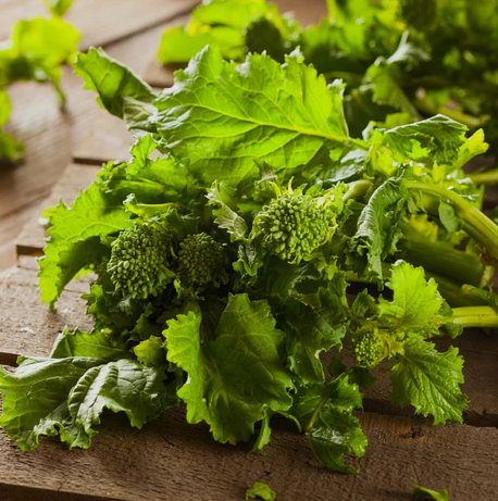 Rapini 'Spring Raab' bio