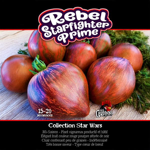 Tomate 'Rebel Starfighter'