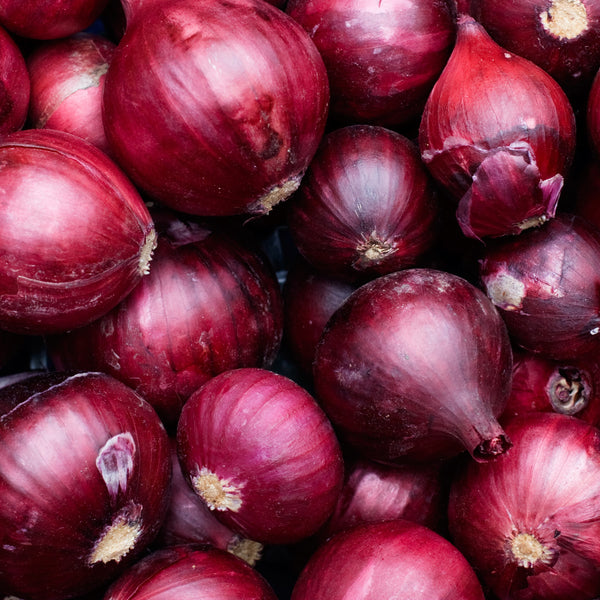 Red Onion