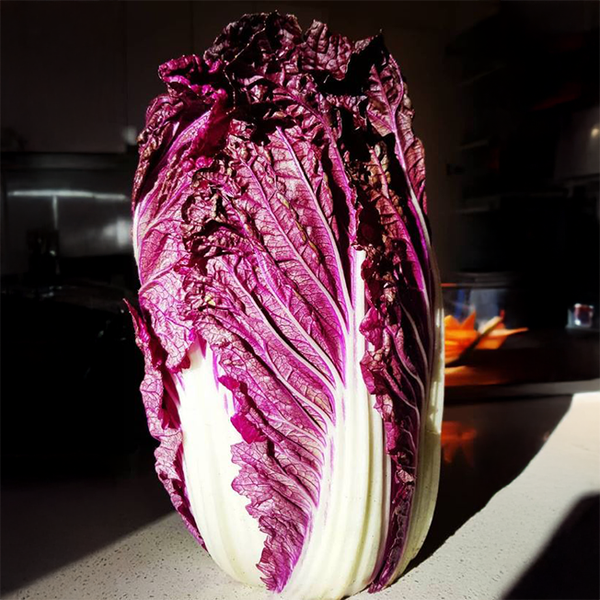 Organic red Chinese cabbage