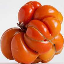 Organic 'Reisetomate' Tomato