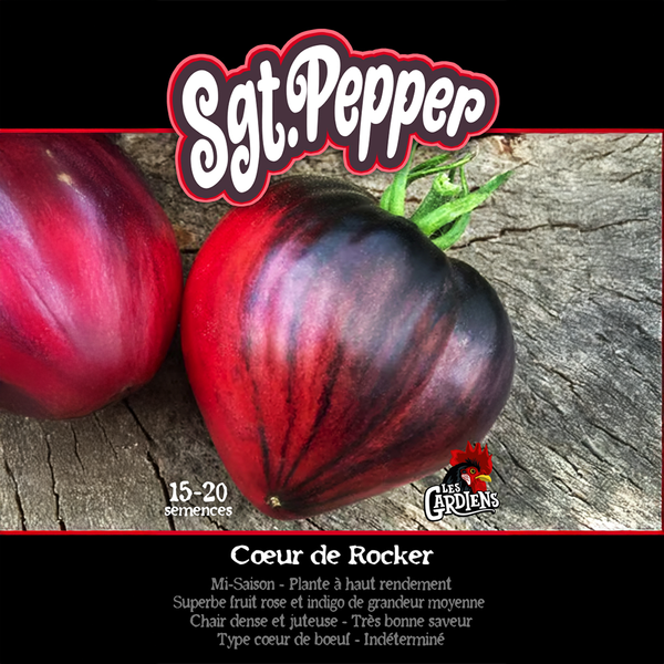 Tomato 'Sgt. Pepper'