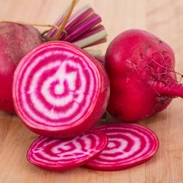 Organic 'Chioggia' beetroot