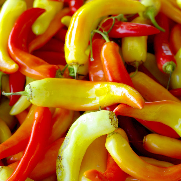 Sweet Pepper 'Sweet Banana'