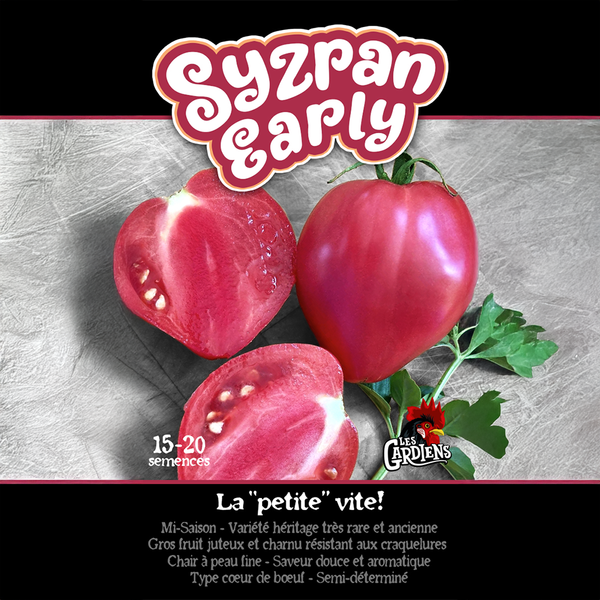 Tomato 'Syzran Early'