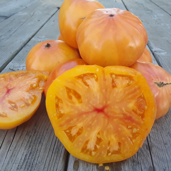 Organic Beefsteak 'Ananas' Tomato