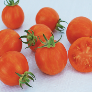 Organic 'Apricot Zebra' marbled tomato