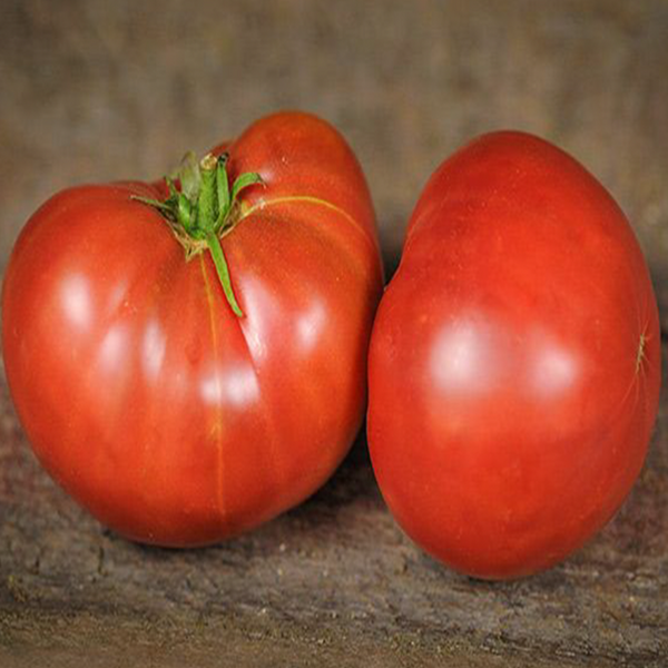 Organic 'Carbon' Tomato