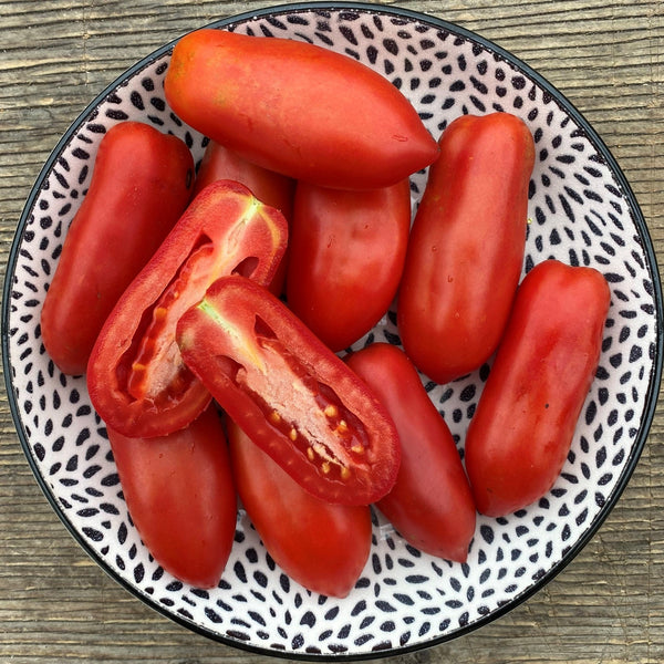 Organic Italian Tomato 'Ten Fingers of Naples'