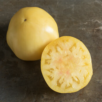 Tomate blanche 'Great White' bio