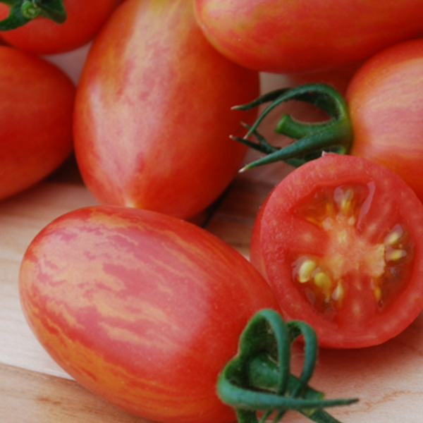 Organic marbled tomato 'Maglia Rosa'