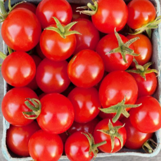 Tomate cerise rouge 'Sweetie' bio