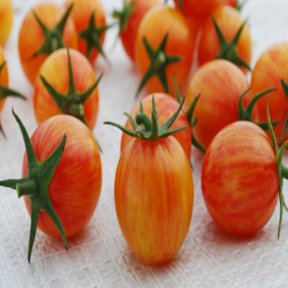 Organic 'Tropical Sunset' Marbled Cherry Tomato