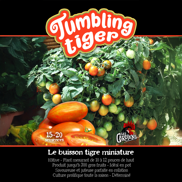 Tomate 'Tumbling Tiger'