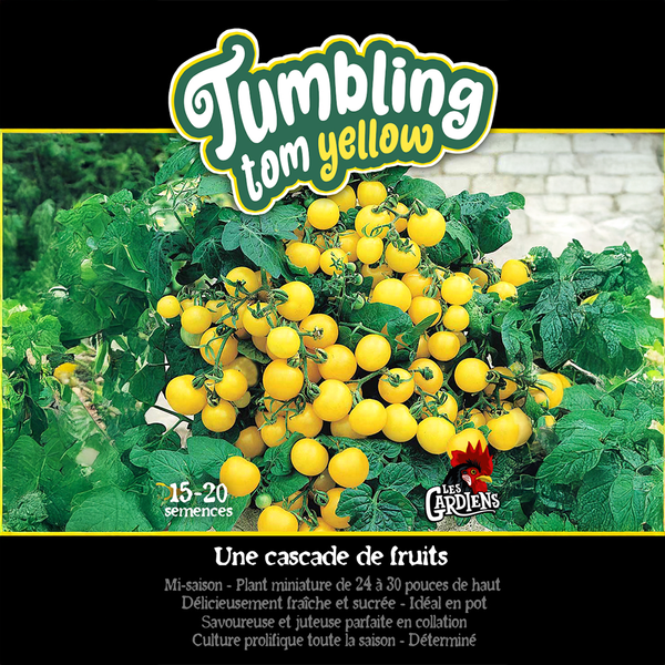 Tomate 'Tumbling Tom Yellow'