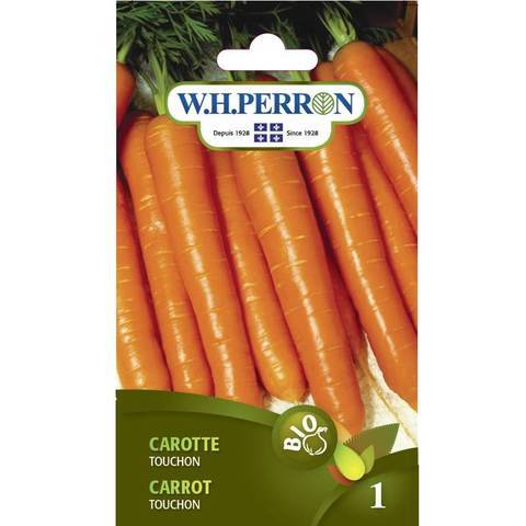 Carotte ‘Touchon’ Bio / ‘Touchon’ Carrot Bio - Pépinière