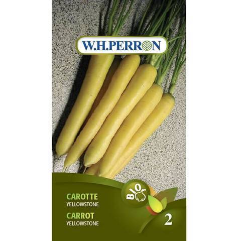 Carotte ‘Yellowstone’ Bio / ‘Yellowstone’ Carrot Bio - Pépinière
