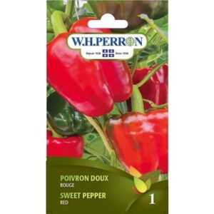 Poivron Doux Rouge / Sweet Pepper Red - Pépinière
