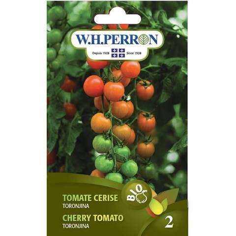 Tomate Cerise ‘Toronjina’ / ‘Toronjina’ Cherry Tomato - Pépinière
