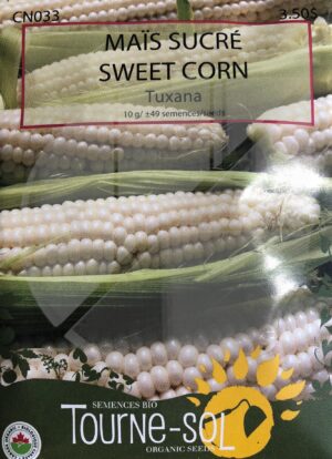 Sweet Corn ‘Tuxana’ - Pépinière