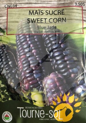 Sweet Corn ‘Blue Jade’ - Pépinière