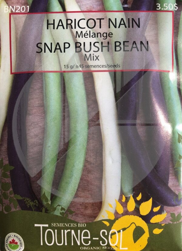 Haricot Nain Mélange / Snap Bush Bean Mix - Pépinière