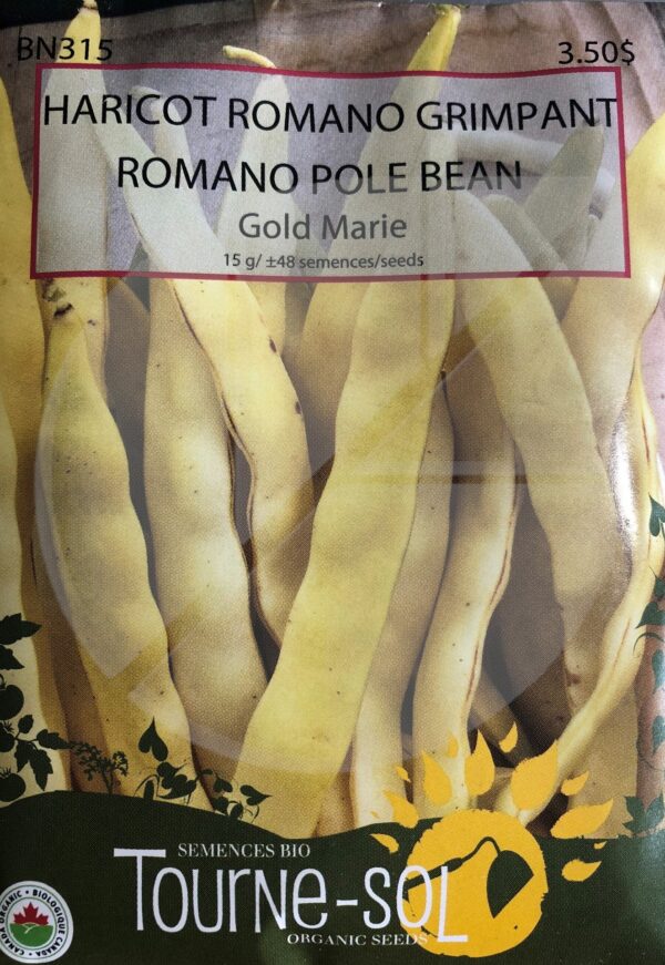 Haricot Romano Grimpant ‘Gold Marie’ /  ‘Gold Marie’ Romano Pole Bean - Pépinière