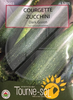 Zucchini ‘Dark Green’ - Pépinière