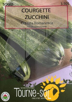 Zucchini Costata Romanesca - Pépinière