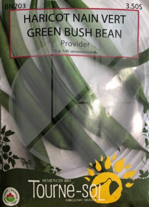 Haricot Nain Vert ‘Provider’ / ‘Provider’ Green Bush Bean - Pépinière