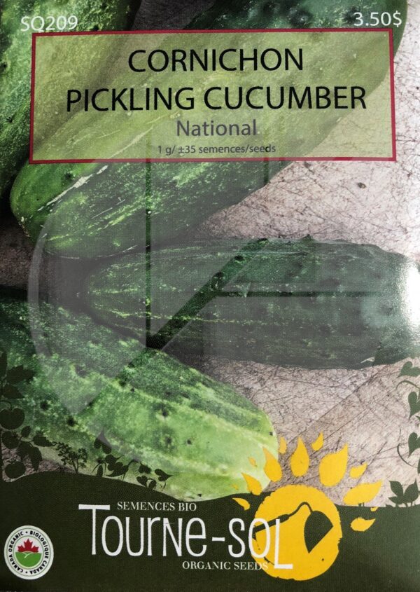 Cornichon ‘National’ / ‘National’ Pickling Cucumber - Pépinière