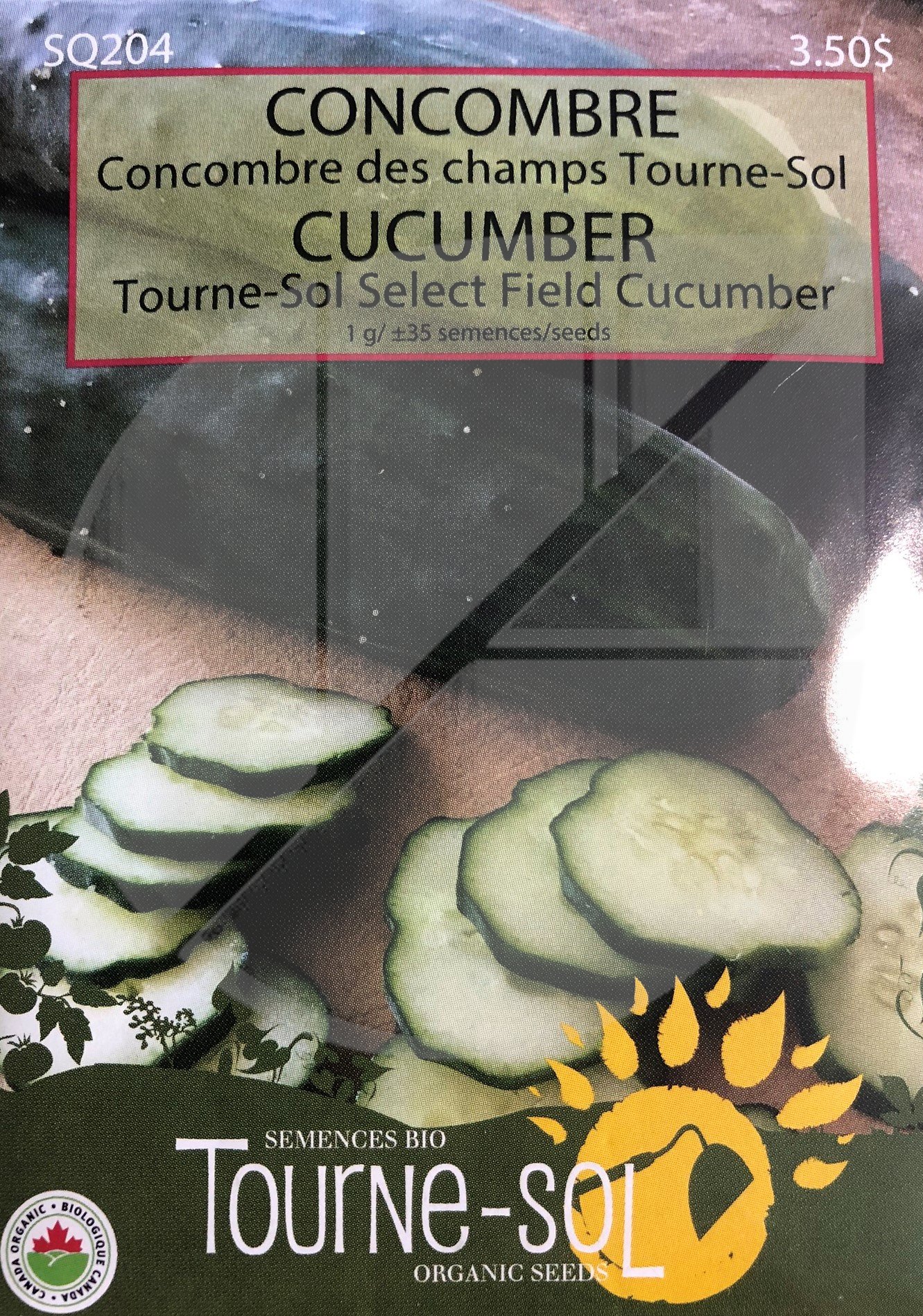 Concombre 'Concombre des Champs Tourne-Sol' / 'Tourne-Sol Select Field  Cucumber' Cucumber
