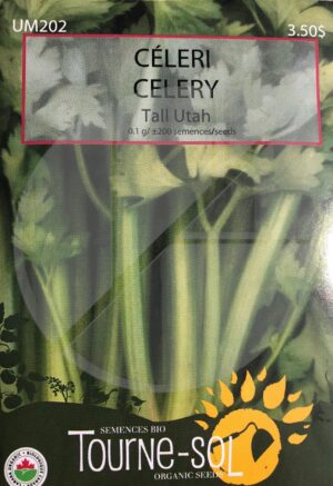 Celeri ‘Tall Utah’ / ‘Tall Utah’ Celeri - Pépinière