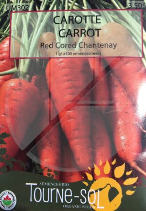 Carotte ‘Red Cored Chantenay’ / ‘Red Cored Chantenay’ Carrot - Pépinière