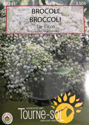 Broccoli De Cicco - Pépinière