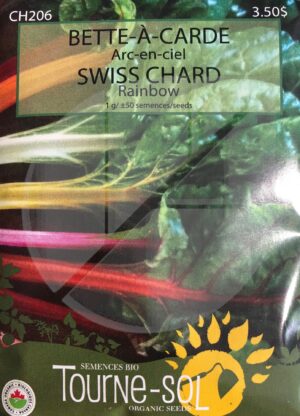 Swiss chard rainbow - Pépinière
