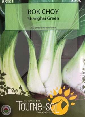 Bok Choy ‘Shangai Green’ / ‘Shangai Green’ Bok Choy - Pépinière