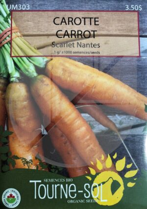 Carrot Scarlet Nantes - Pépinière